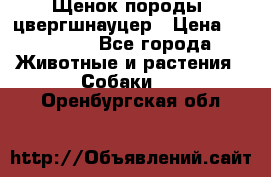 Щенок породы  цвергшнауцер › Цена ­ 30 000 - Все города Животные и растения » Собаки   . Оренбургская обл.